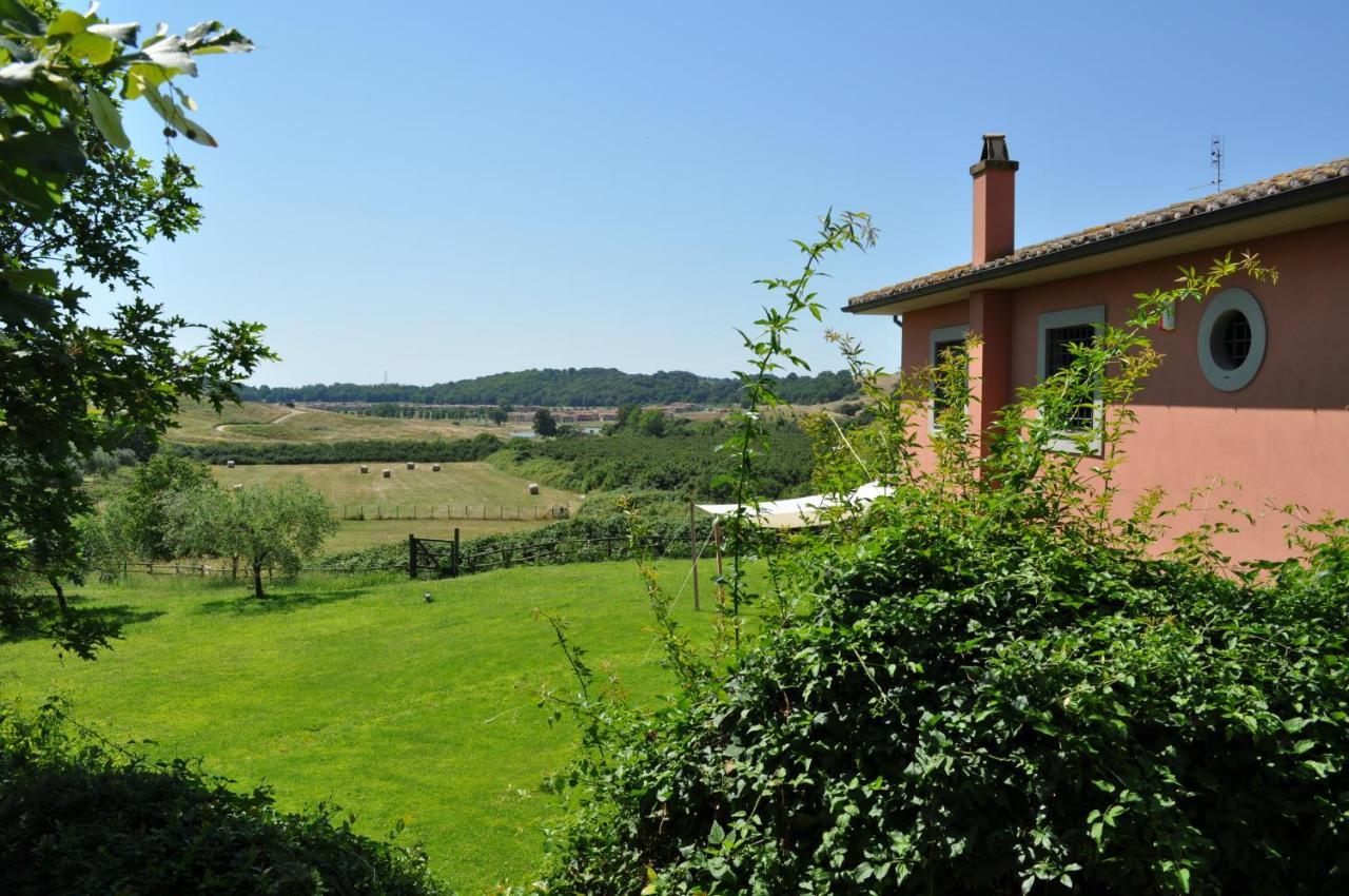 Casale Vicino Al Golf Nazionale Bed & Breakfast Monterosi Eksteriør bilde